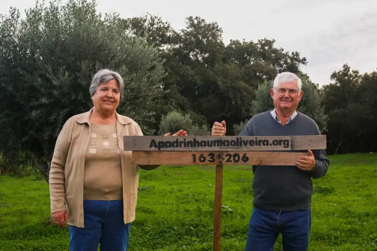Retrato do casal Eminência e Eduardo Grácio, que pediram ajuda ao projeto "Apadrinha uma Oliveira"